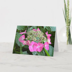 Cartão de Nota de Vazio Hydrangea Blooming