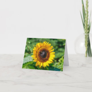 Cartão de Nota de vazio - Vermont Sunflower