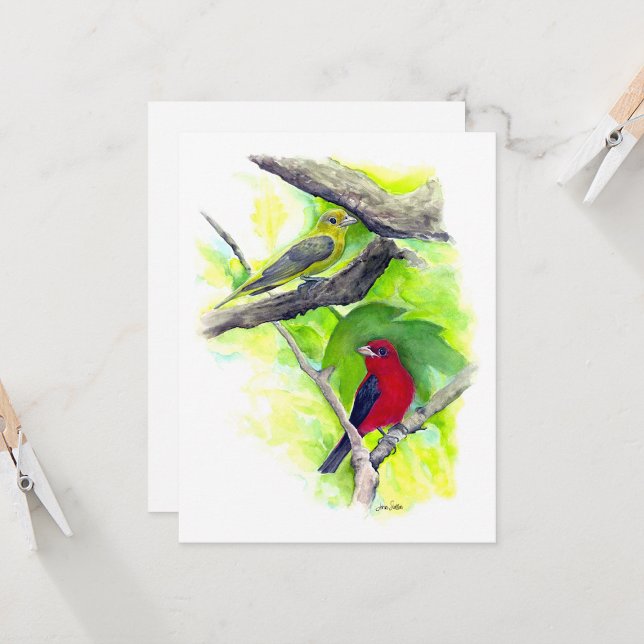 Cartão de Nota do Casal de Piranga (Scarlet Tanager Couple In Tree Watercolor Blank Note Cards from Jenn Steffen Art)
