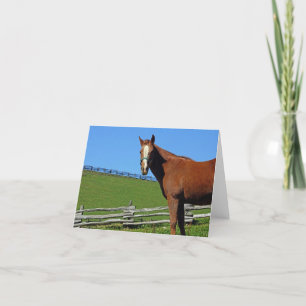 Cartão de nota do cavalo