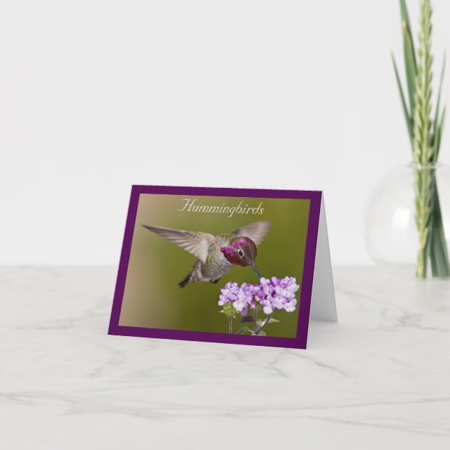 Cartão de nota do colibri em vôo (Frente)