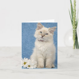 cartão de nota do gatinho do ragdoll