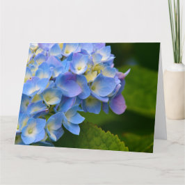 Cartão de nota do Hydrangea