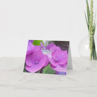 Cartão de nota do Hydrangea de Lacecap