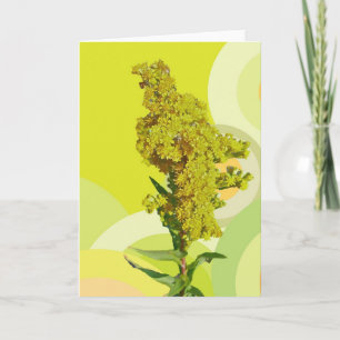 Cartão de Nota do IBSP Beach Solidago (Goldenrod)