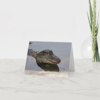 Cartão de nota do jacaré