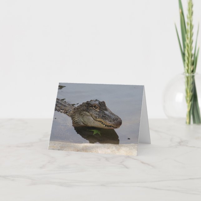 Cartão de nota do jacaré (Frente)