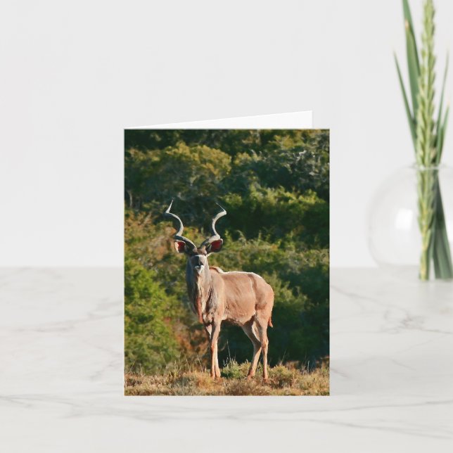 Cartão de nota do leste de Kudu do cabo (Frente)