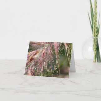 Cartão de nota do orvalho da manhã