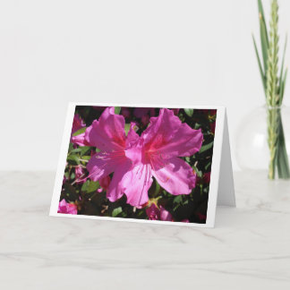 Cartão de nota do primavera