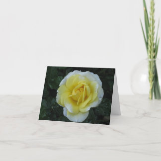 Cartão de nota do rosa amarelo