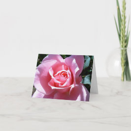 Cartão de nota do rosa do rosa