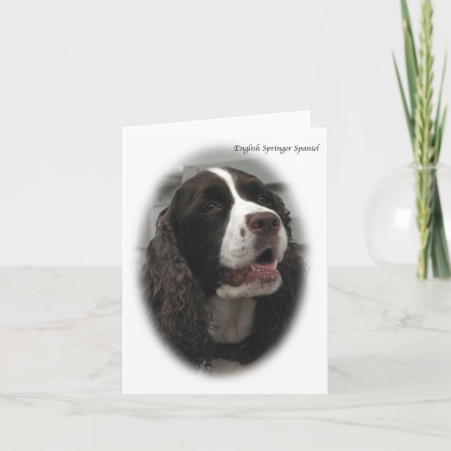 Cartão de nota do Spaniel de Springer inglês (Frente)