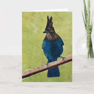 Cartão de nota do Stellar's Jay