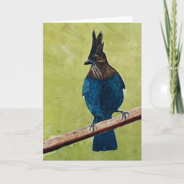 Cartão de nota do Stellar's Jay (Frente)
