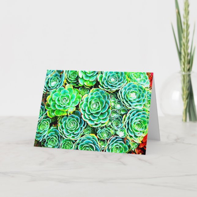Cartão de nota do Succulent da queda (Frente)
