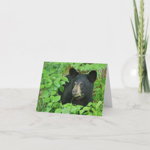 Cartão de Nota do Urso Preto