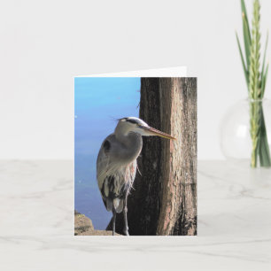 Cartão de Nota do Vazio de Fotografia Heron Azul-e