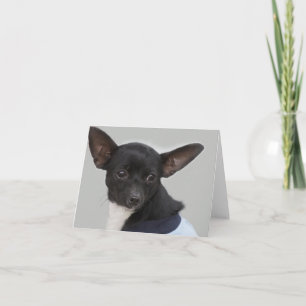 Cartão de nota do vazio do cão da chihuahua