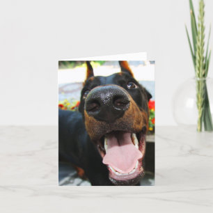 Cartão de Nota Doberman