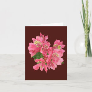 Cartão de Nota Dobrada de Foto Alstroemeria Rosa
