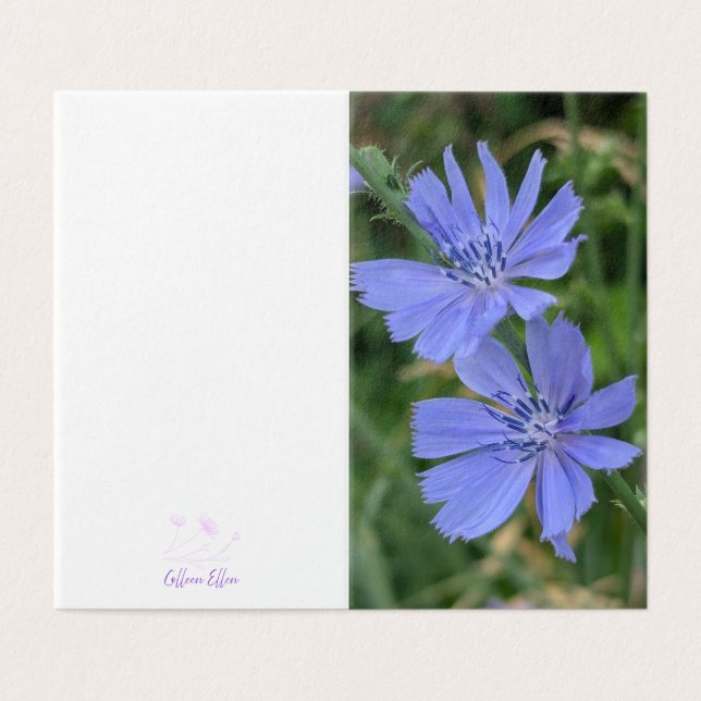 Cartão de Nota Dobrada Flor de Chicória (Exterior Desdobrado)