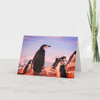 Cartão de Nota Dobrada PENGUIN