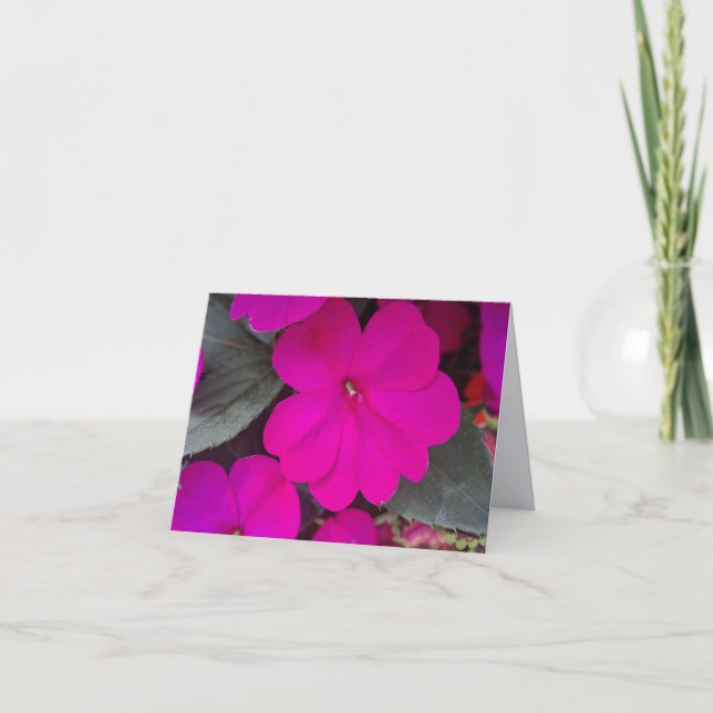 Cartão de Nota Dobrada Rosa Vibrante Impaciente (Frente)