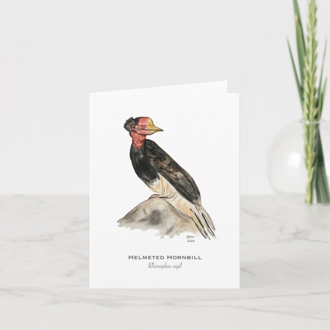 Cartão de Nota Dobrado Hornbill Auxiliado (Frente)
