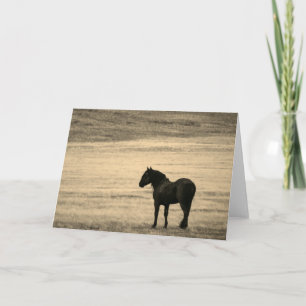 Cartão de Nota Dobrado Stallion Black OAQUI HERD 