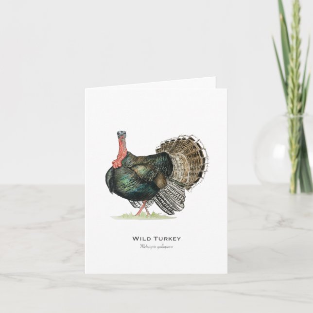 Cartão de Nota Dobrado Wild Turkey (Frente)