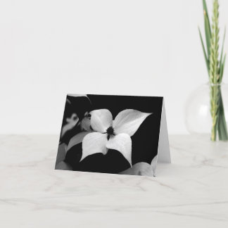 Cartão de nota - Dogwood de B/W