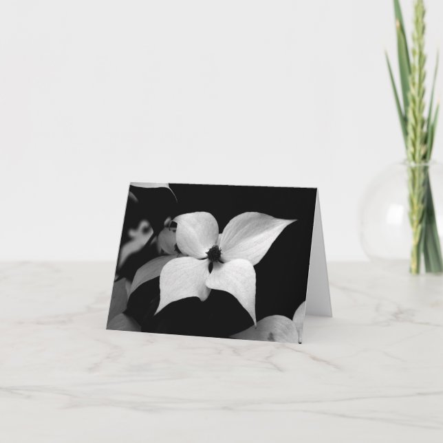 Cartão de nota - Dogwood de B/W (Frente)