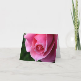 Cartão de nota elegante do rosa do rosa