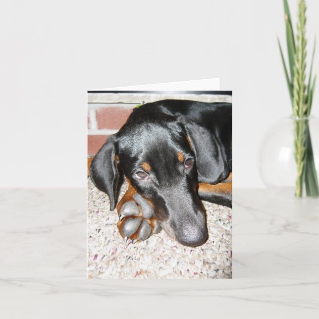 Cartão de Nota em Branco - Cachorrinho Doberman Pi (Frente)