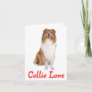 Cartão de Nota em Branco com Cachorro Collie Filho