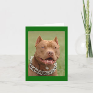 Cartão de Nota em Branco de Cachorro Pitbull Filho