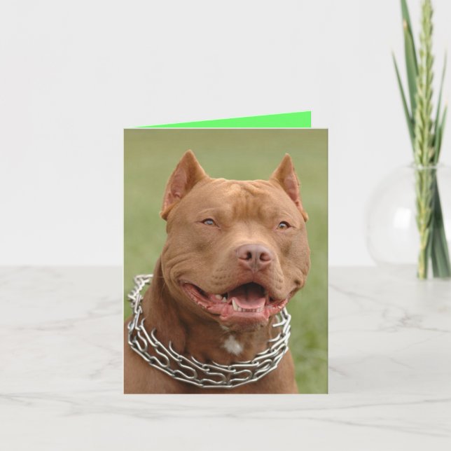 Cartão de Nota em Branco de Cachorro Pitbull Filho (Frente)