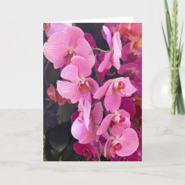 Cartão de Nota em Branco de Orquídeas