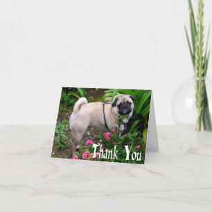 Cartão de Nota em Branco do Cachorrinho Pug Grato