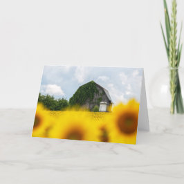 Cartão de Nota em Branco do Celeiro do Girassol