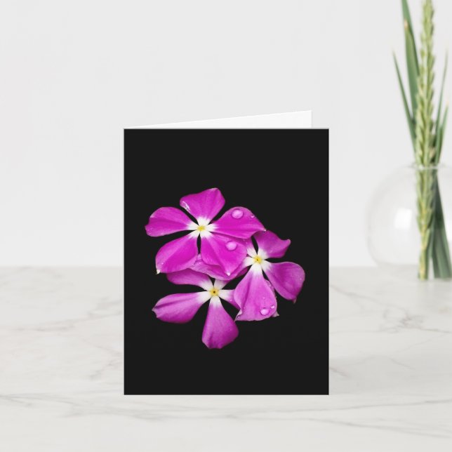 Cartão de Nota em Branco 'Flores de Periwinkle Apó (Frente)
