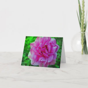 Cartão de nota floral Ruffled da flor cor-de-rosa