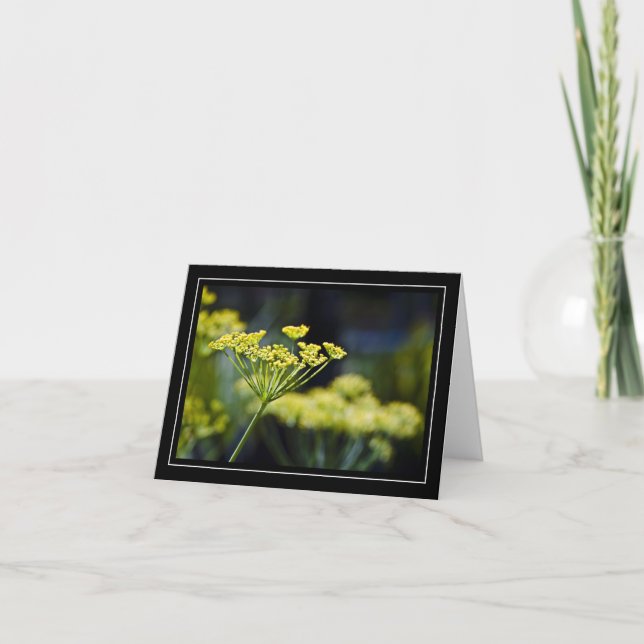 Cartão de Nota Fotográfica de Flor Selvagem (Frente)