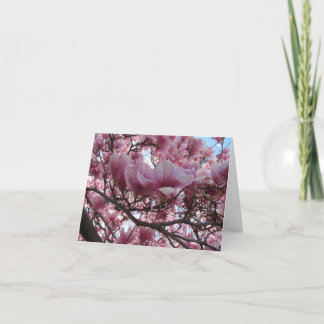 Cartão de Nota Fuchsia Magnolia Blooming