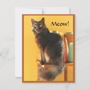 Cartão de Nota - Gato de Artesanato