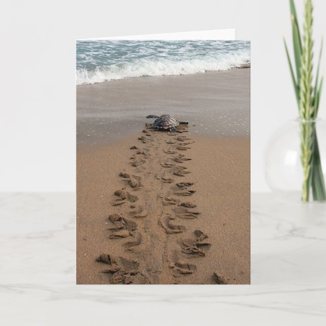Cartão de nota Hawksbill Turtle Trek (Frente)