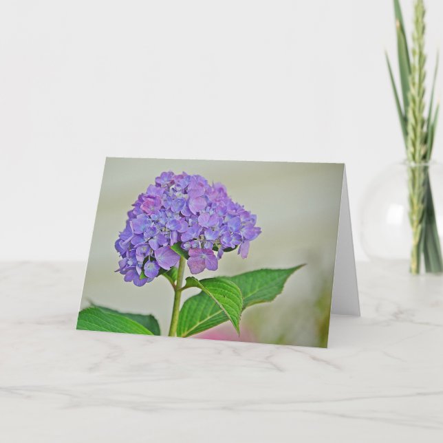 Cartão de Nota Hydrangea (Frente)