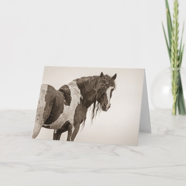 Cartão de Nota "Invencível" (Frente)