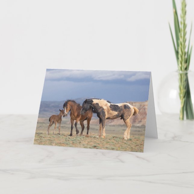 Cartão de Nota "Jovem no Coração" (Frente)